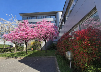 Immeuble location de bureaux vélizy yvelines